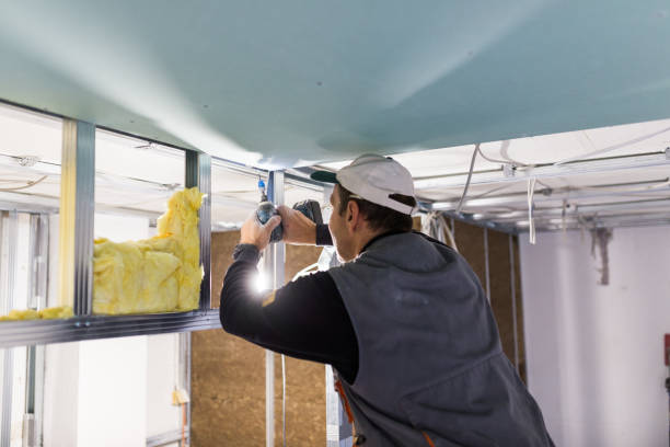 Best Residential Insulation in Barker Heights, NC